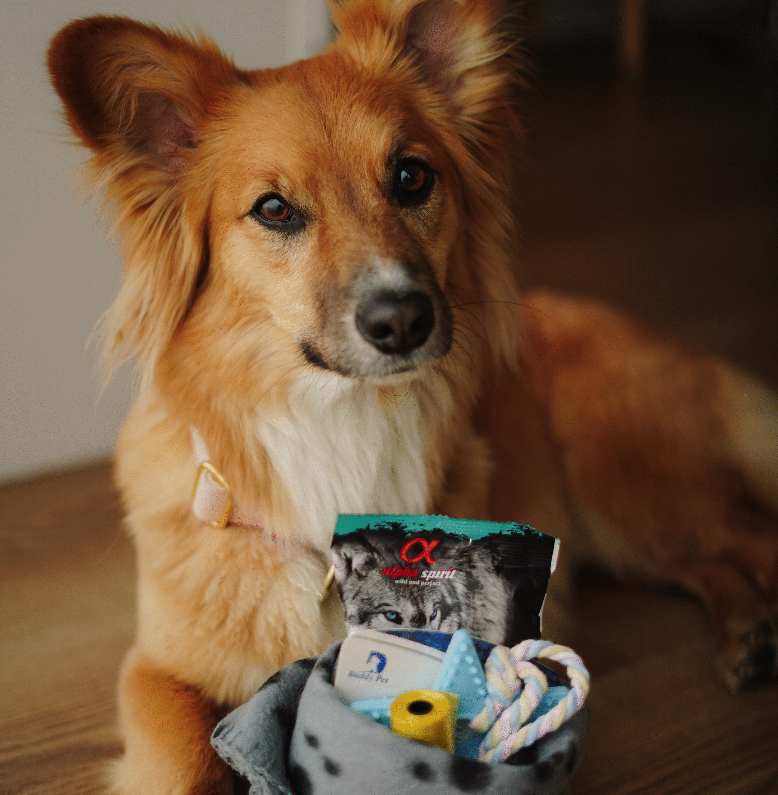 IMG_5261-fotor-2025061913520 IMG_5261-fotor-2025061913520